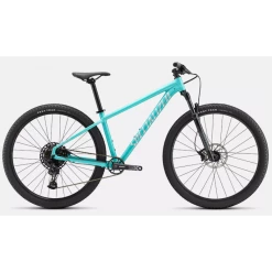 Specialized Vélos VTT Specialized Rockhopper Expert 29